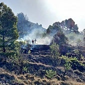 Dos nuevos incendios cercan la provincia de Alicante