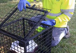 Fotos de los trabajos del nuevo sistema de detección.