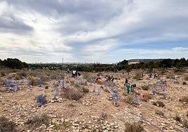 Voluntarios participan en la reforestación del monte Orgegia de Alicante.