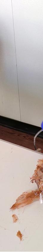 Imagen secundaria 2 - Imágenes de la operación en el puerto de Dénia.