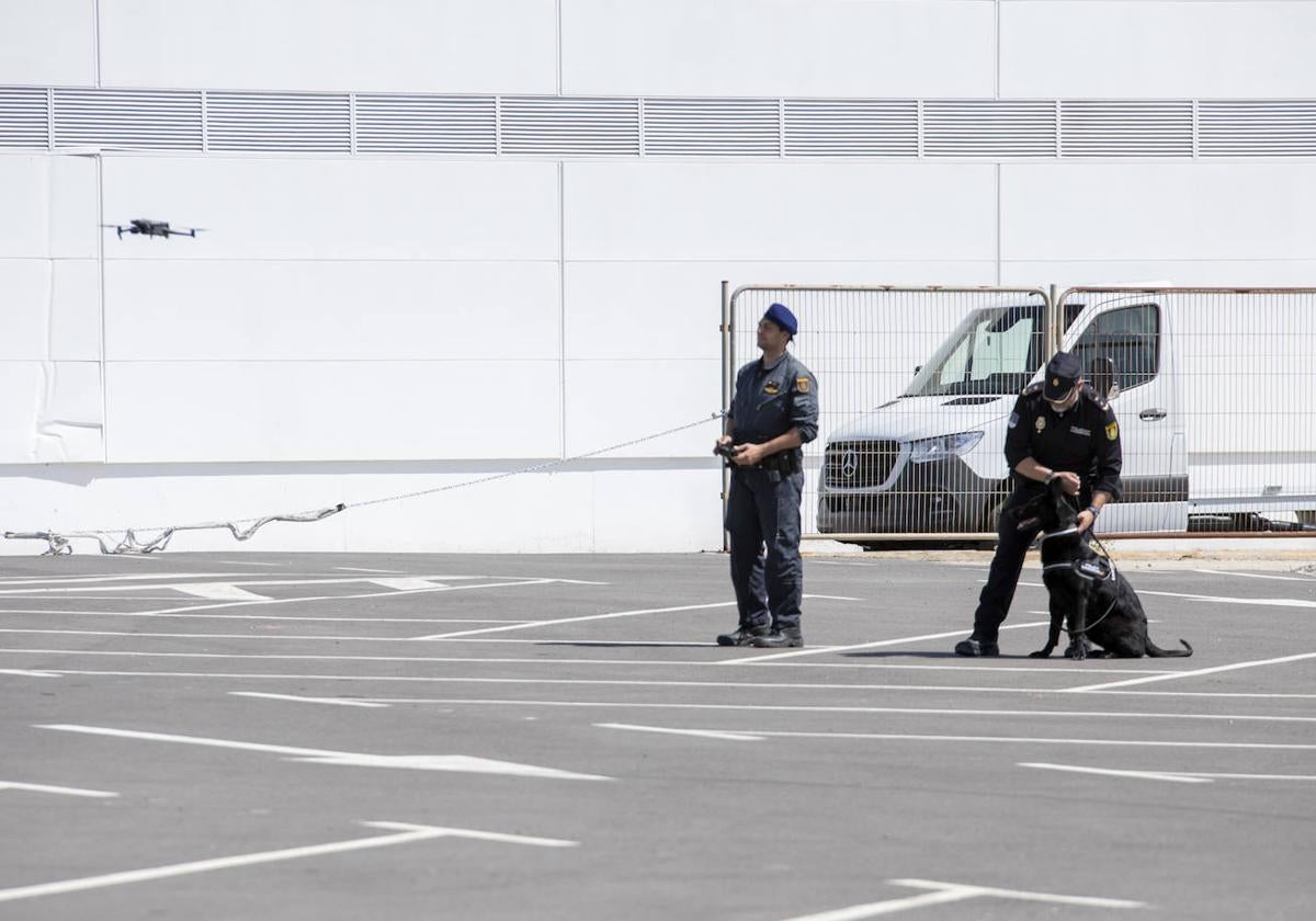 Una perra detectora de sustancias explosivas y un dron: el pionero entrenamiento de la Policía Nacional de Alicante