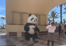 Un oso panda gigante se fotografía con una turista en la Explanada en Alicante.