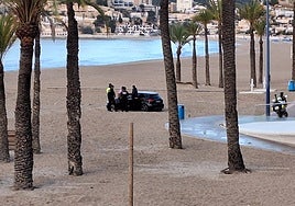 Imagen del vehículo detenido en la arena