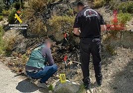 La Guardia Civil y un agente medioambiental de la Consellería recaban pruebas.
