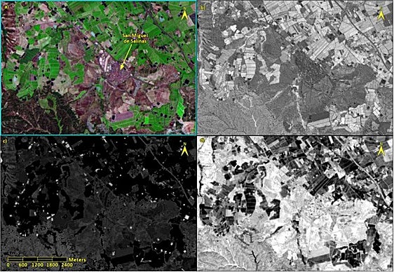 Mapa del área de San Miguel de Salinas.