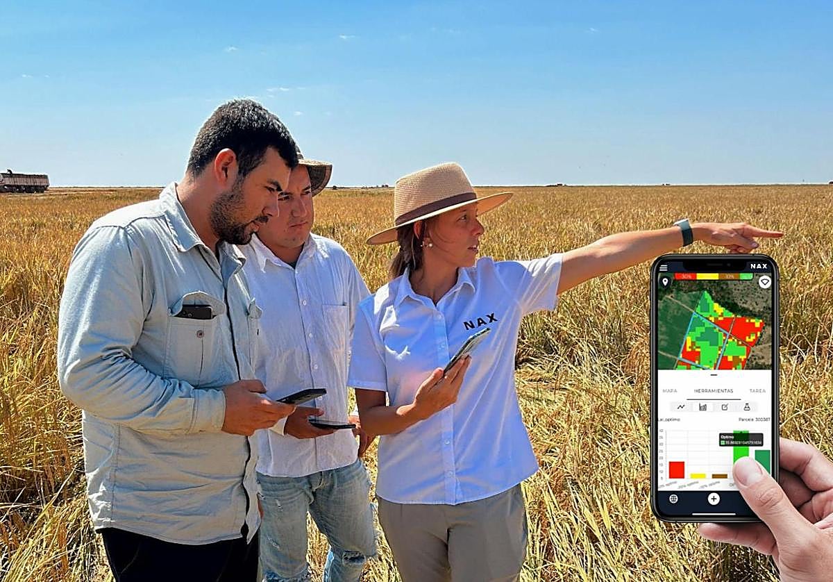 Técnicos de la empresa revisan un campo usando los datos recopilados.