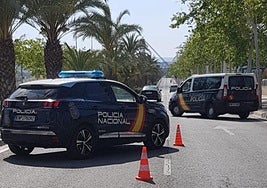 Control policial para la prevención de la delincuencia.