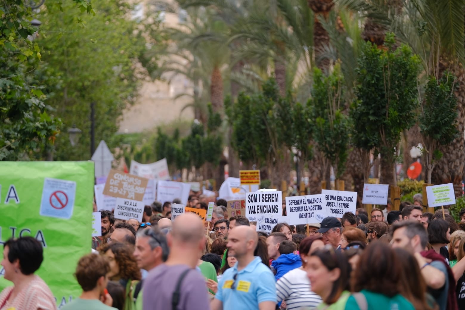 La marea verde toma Alicante en defensa de la educación pública