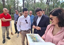 Visita del Palmeral de Alicante.