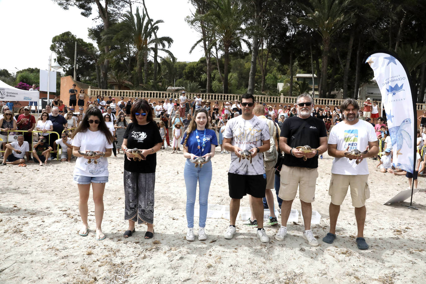 Devuelven al mar siete tortugas nacidas en un nido de Dénia el pasado verano