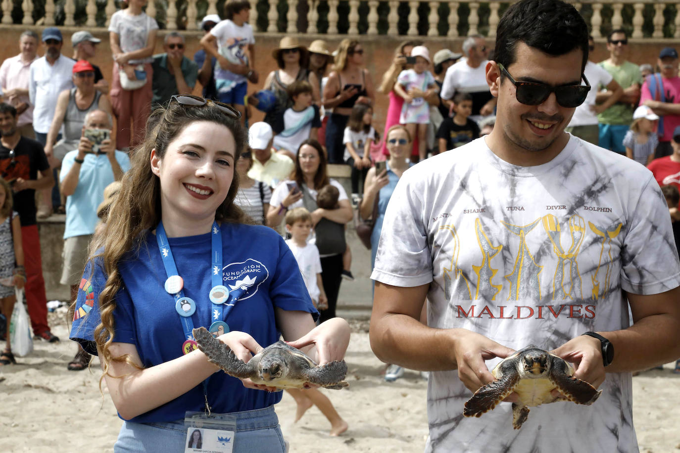 Devuelven al mar siete tortugas nacidas en un nido de Dénia el pasado verano