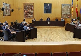 Imagen de la reunión del Consejo Vecinal celebrada este martes en Benidorm