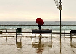 Un ciudadano se cubre bajo un paraguas en Alicante.