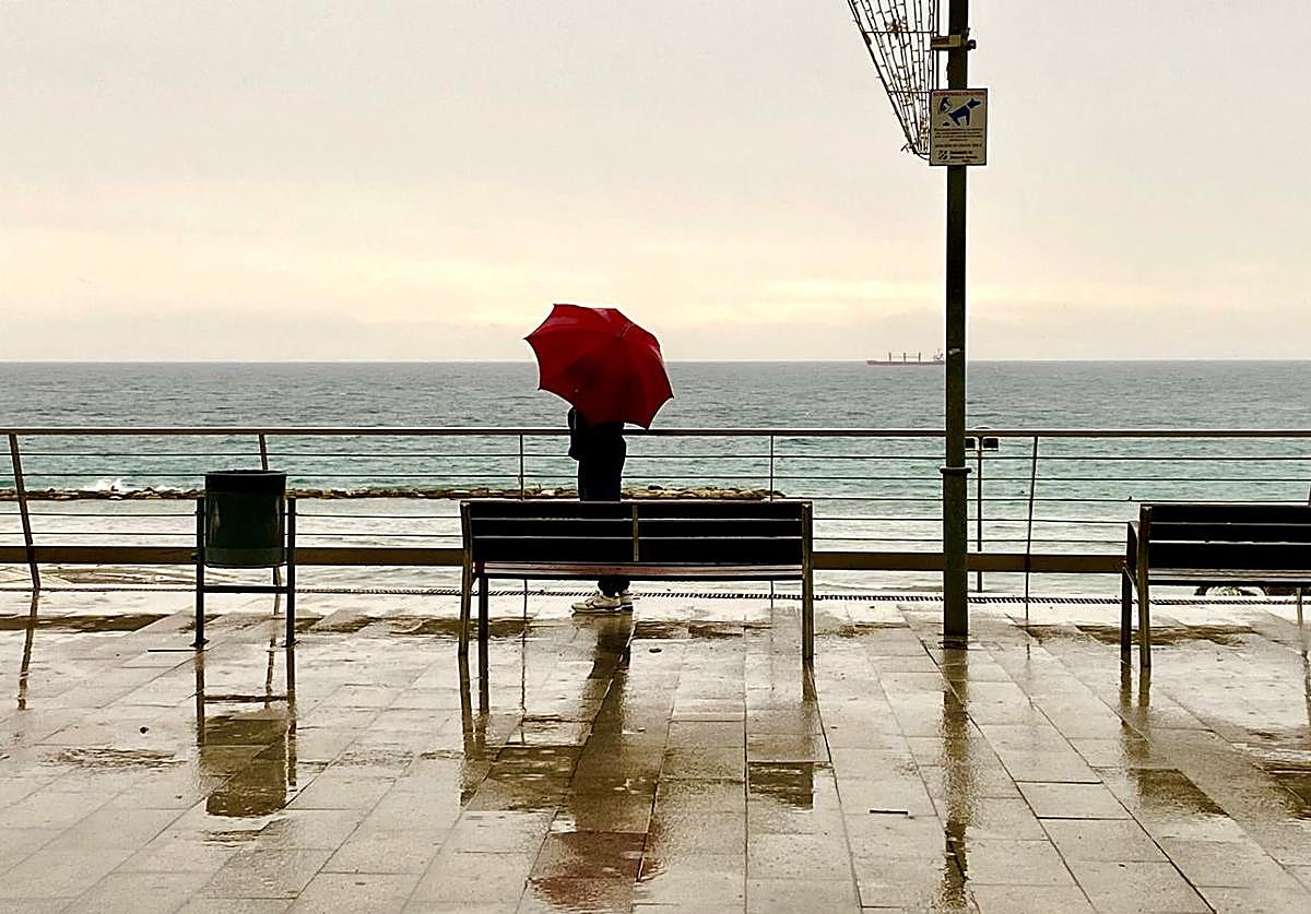 Un ciudadano se cubre bajo un paraguas en Alicante.