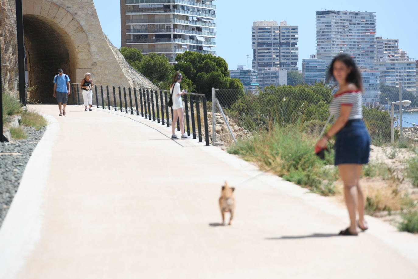 Un paseo por el nuevo verde sobre el mar de Alicante