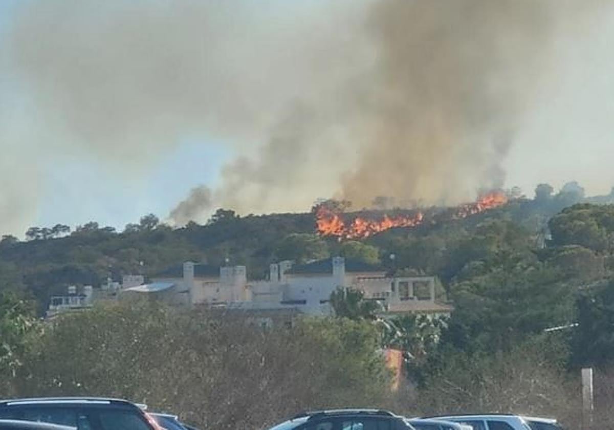 El campo de golf se encuentra inmerso dentro del denso bosque de pinos de la Dehesa de Campoamor, en las estribaciones de Sierra Escalona.