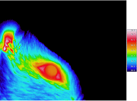 Imagen de termografía por infrarrojo en una rata despierta.