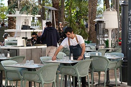 Camarero en un bar del centro de Alicante.