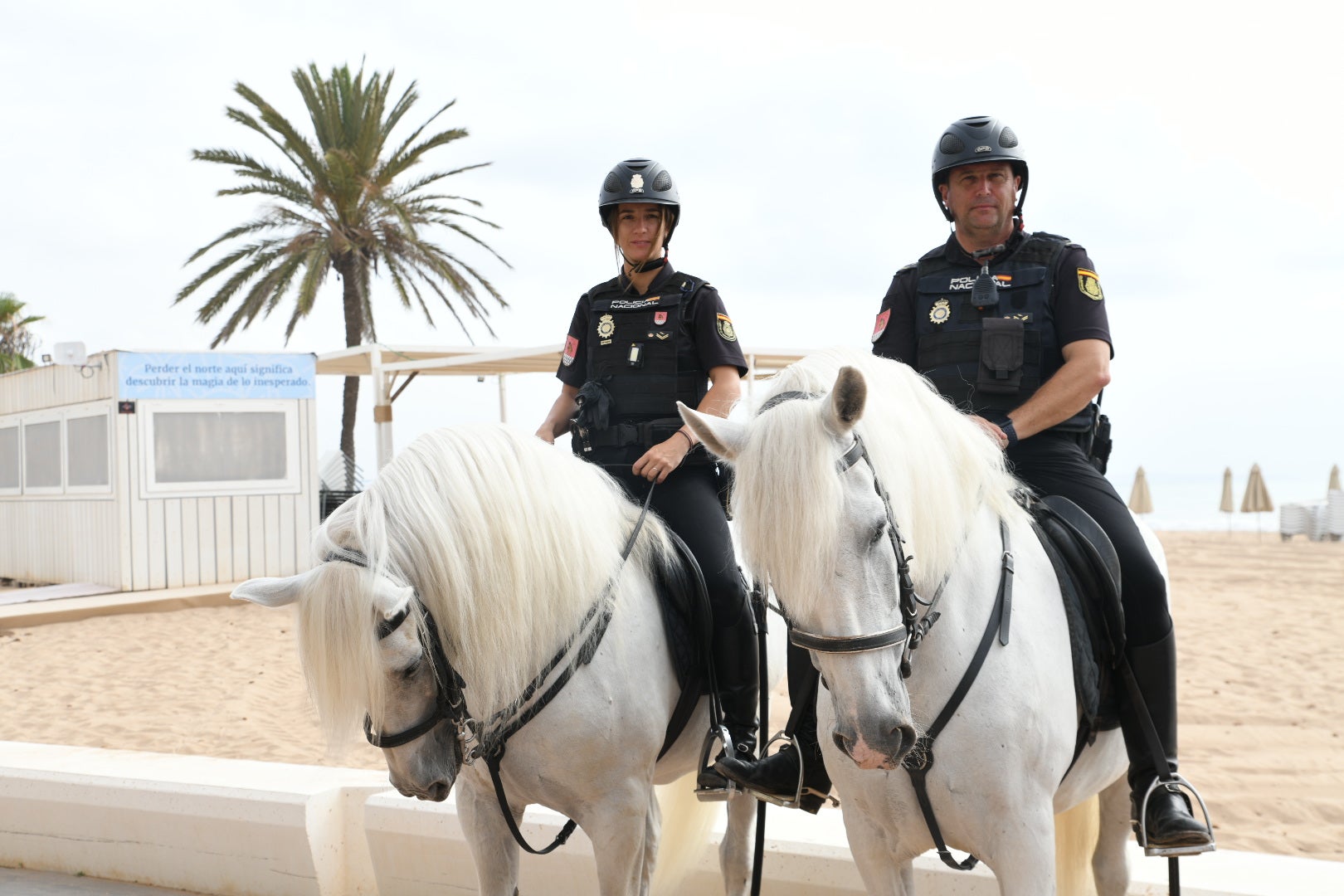 La presentación de la &#039;Operación Verano&#039; de la Policía Nacional de Alicante, en imágenes
