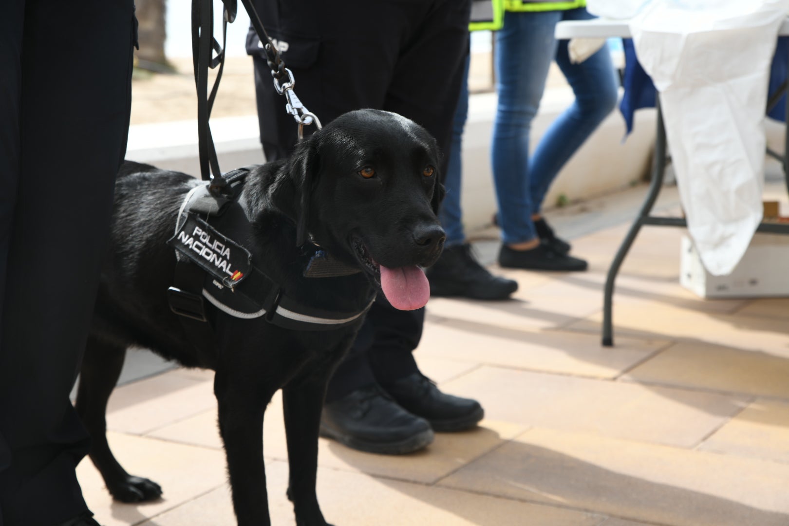 La presentación de la &#039;Operación Verano&#039; de la Policía Nacional de Alicante, en imágenes
