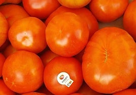 El delicioso Tomate Muchamiel, protagonista de la feria.