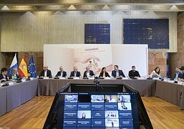 Tenerife acoge la Conferencia Sectorial de Infancia y Adolescencia.