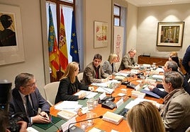 Pleno del Consell en Alicante.