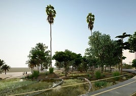 Nuevos espacios peatonales y selváticos en la playa de la Almadraba de Alicante.