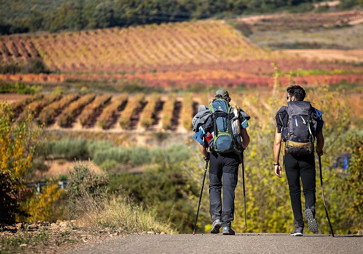 Peregrinos haciendo el Camino de Santiago.