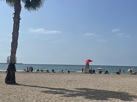 La playa de San Gabriel y Babel con su socorrista.