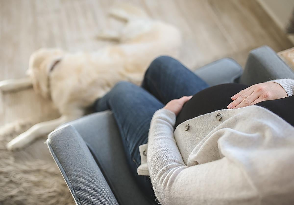 Durante el estudio se investigó a diferentes grupos de mujeres embarazadas.