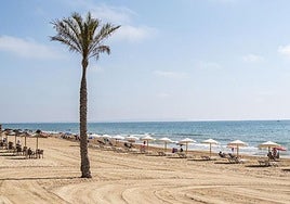 Playa centro de Guardamar.