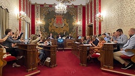 Votación de la ordenanza en el pleno, con PP y Compromís a favor.