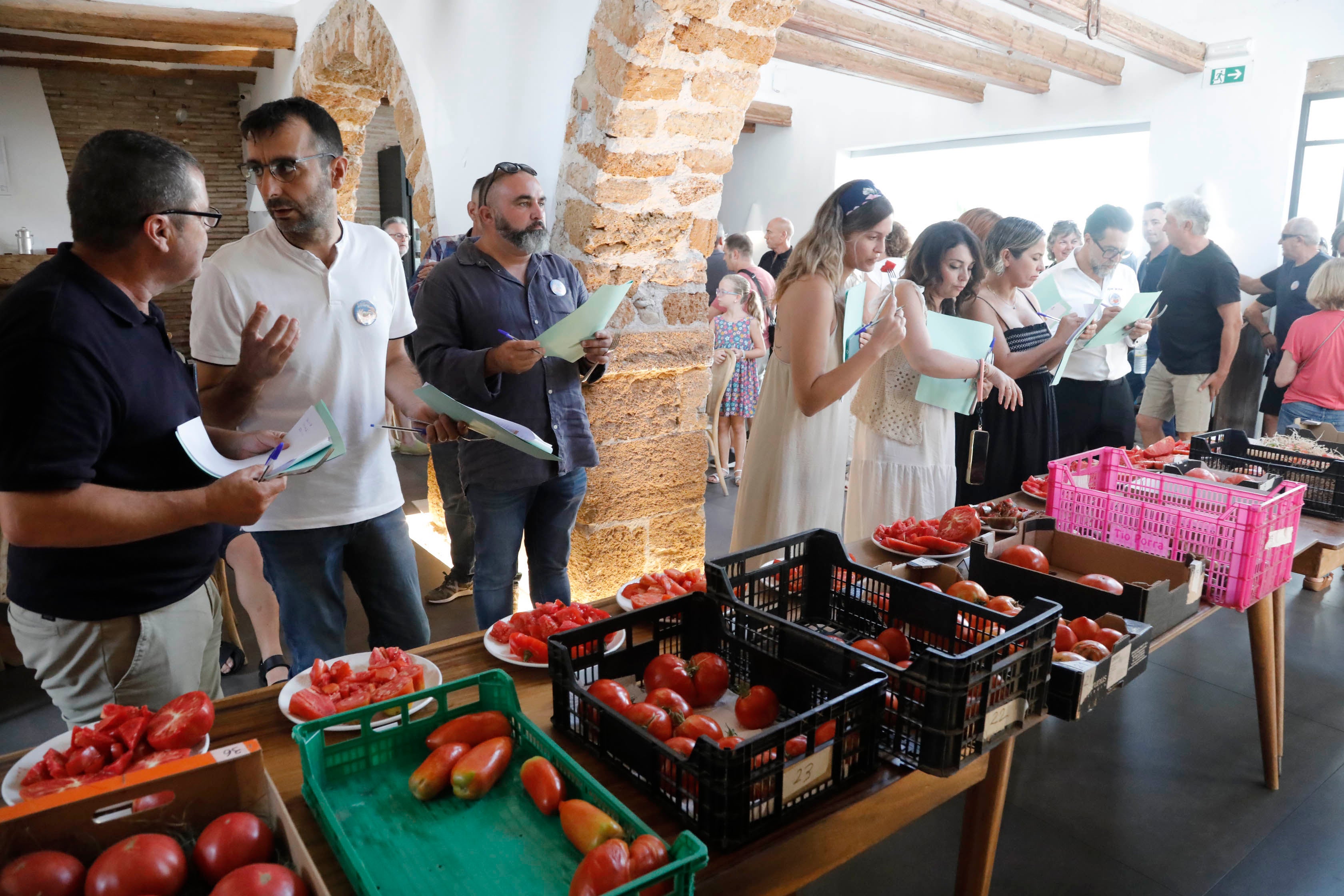 Els Magazinos elige el mejor tomate de la Comunitat Valenciana