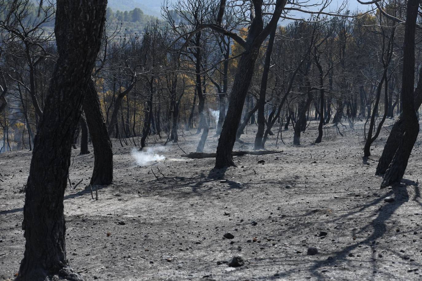 Una montaña de ceniza gris