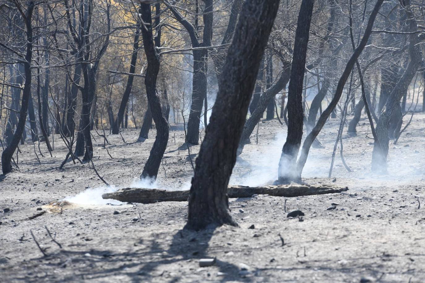 Una montaña de ceniza gris