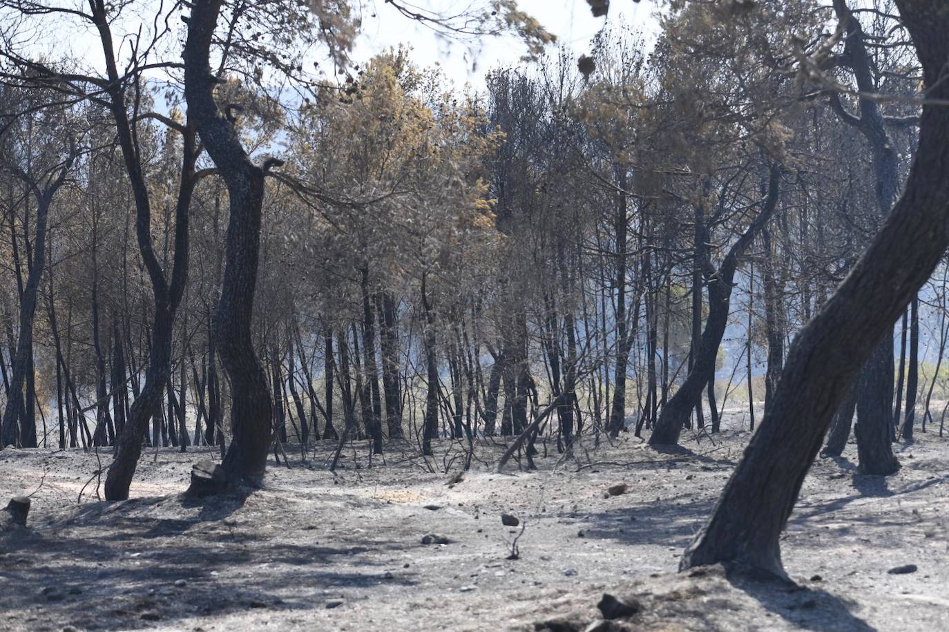 Una montaña de ceniza gris