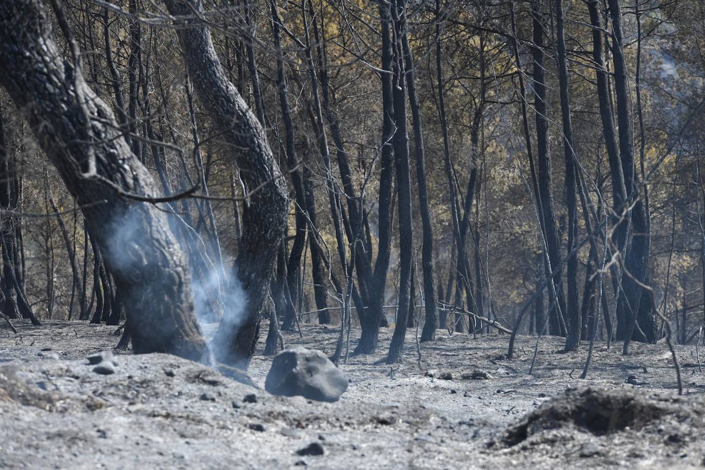 Una montaña de ceniza gris