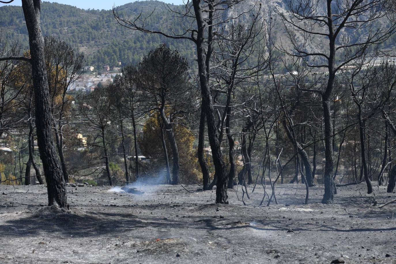 Una montaña de ceniza gris