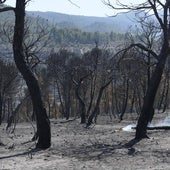 Los bomberos dan por estabilizado el incendio forestal de Benasau