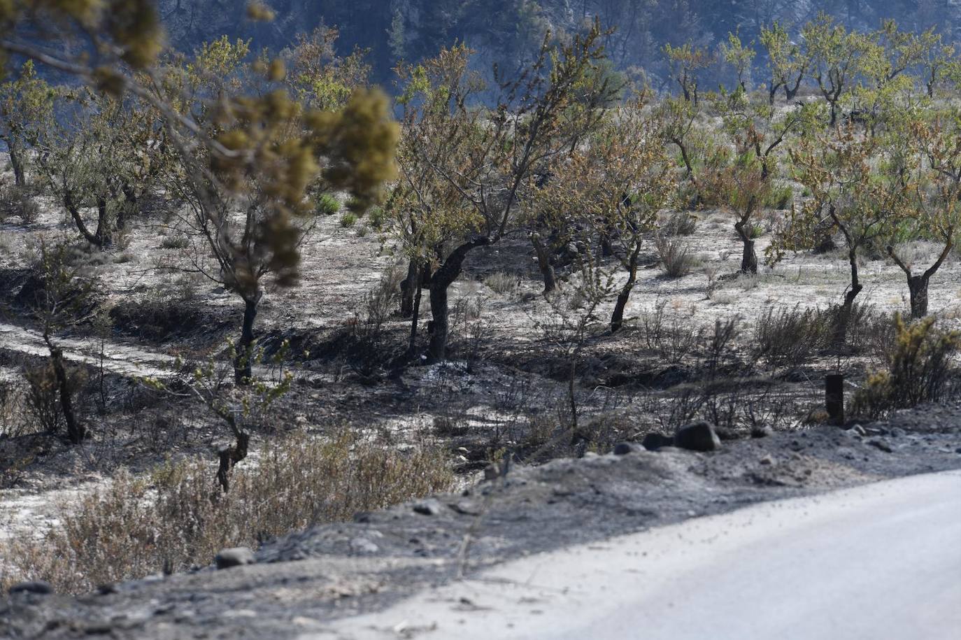 Una montaña de ceniza gris