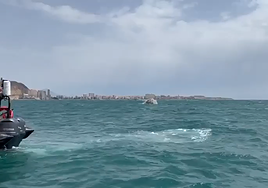 Imágenes de la intervención de la Armada y la Guardia Civil.