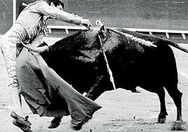 El maestro Paco Camino en la suerte de matar durante una corrida en Valencia.