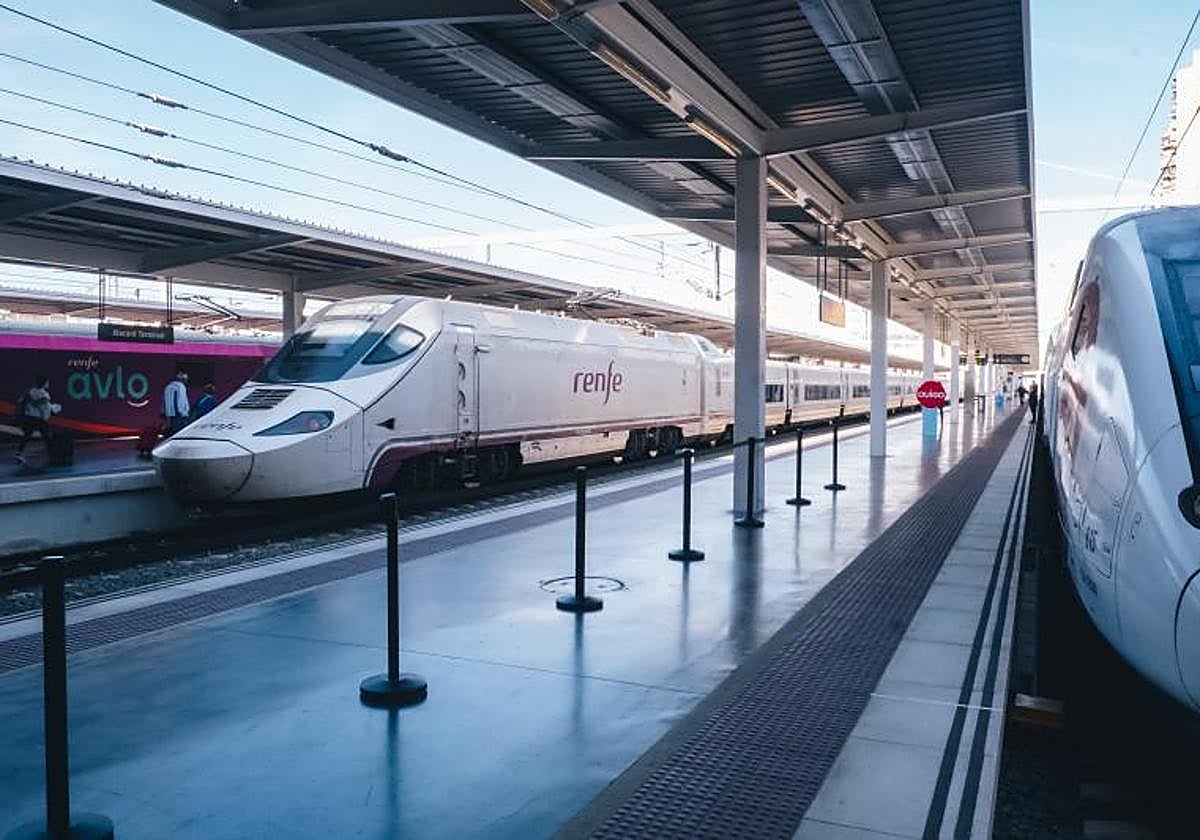 Trenes en la estación Alicante-Terminal.