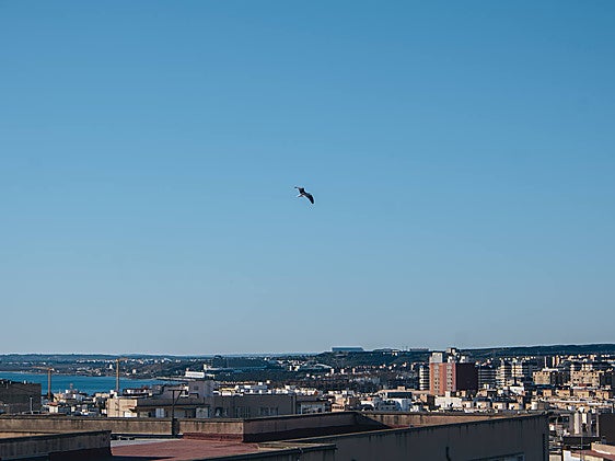 CIelo sobre la ciudad de Alicante.