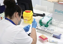 Pruebas PCR para detectar la viruela del mono.