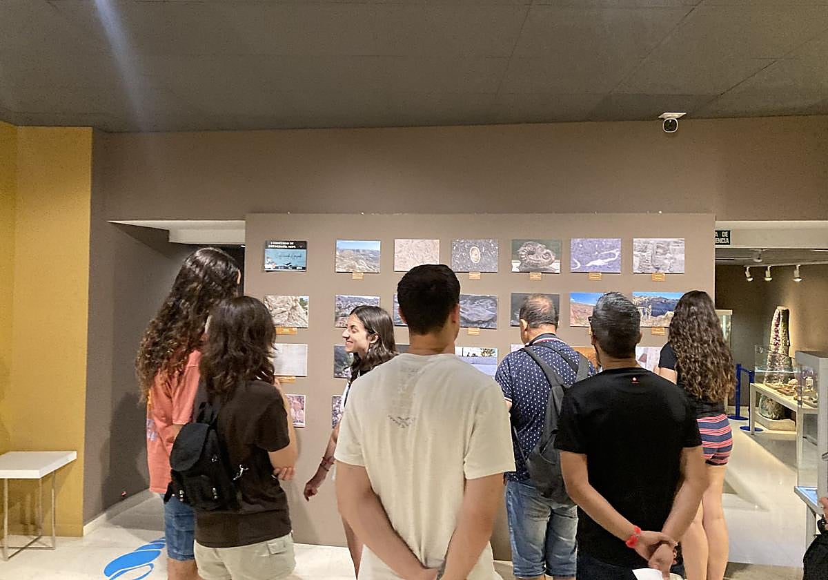 Visitantes del Museo Paleontológico de Elche.