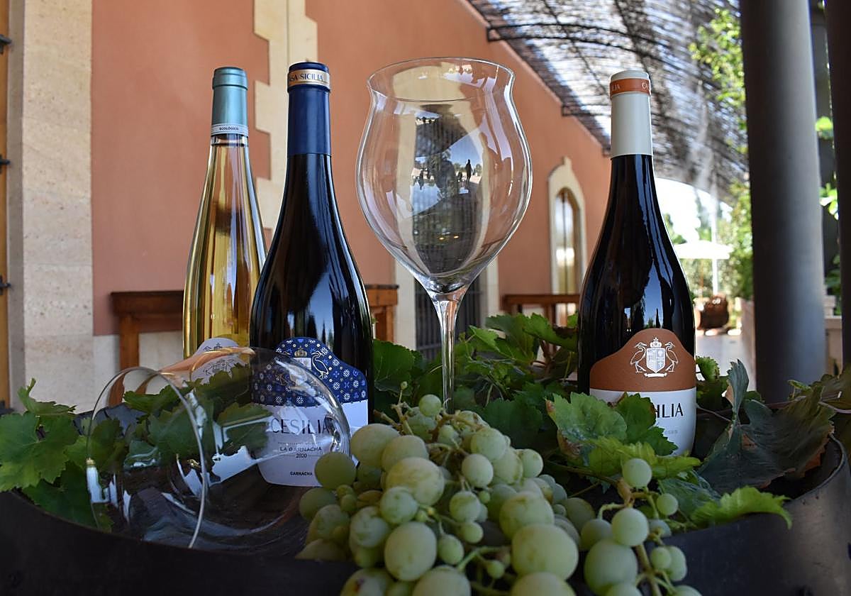 La Fiesta de la Vendimia contará con cata de vinos.