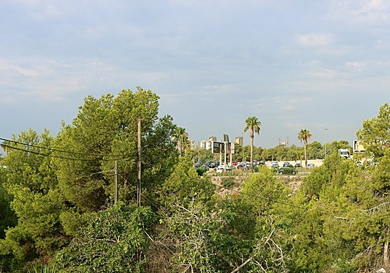 Imagen de una de las zonas verdes que Benidorm quiere proteger del fuego