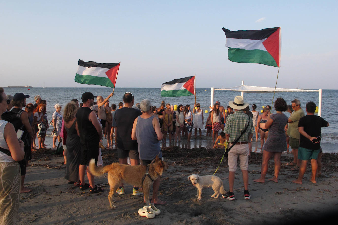 Dénia se moja en solidaridad con Palestina